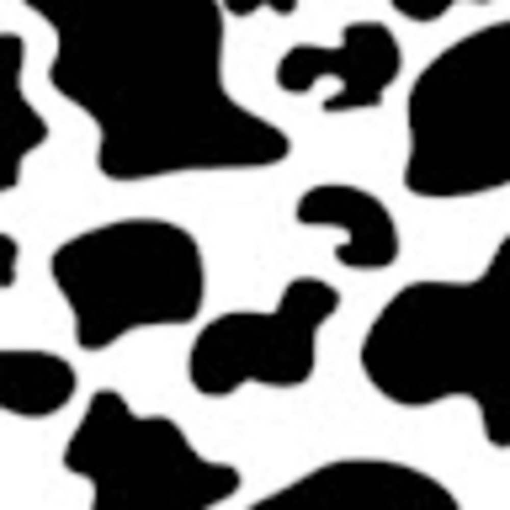 Meet your Posher, Chloe